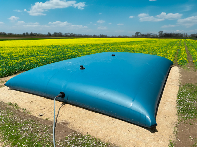 Pumpe für oberirdische Zisterne: Welche Pumpenlösung für Gartenbewässerung geeignet ist
